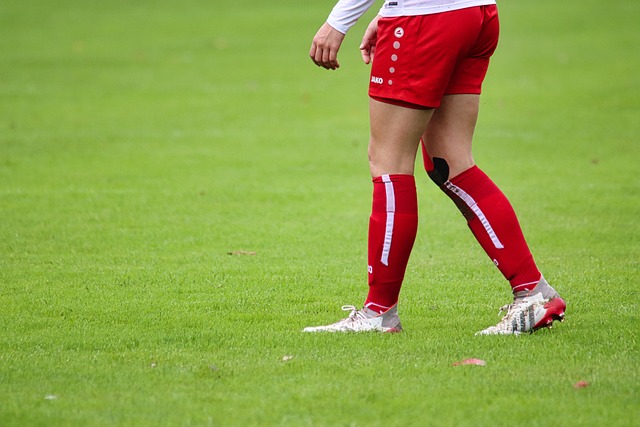 租借背后的 租借背后的