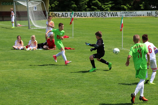 的全能阵容 的全能阵容