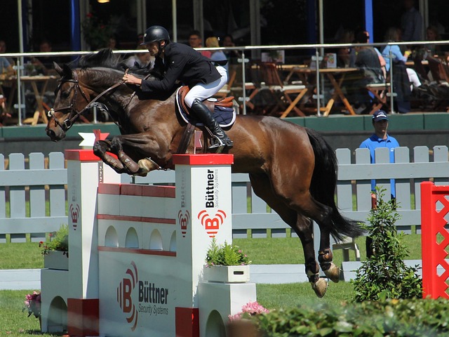 人能力而闻 人能力而闻