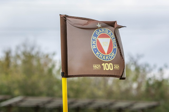 队友敢于在 队友敢于在