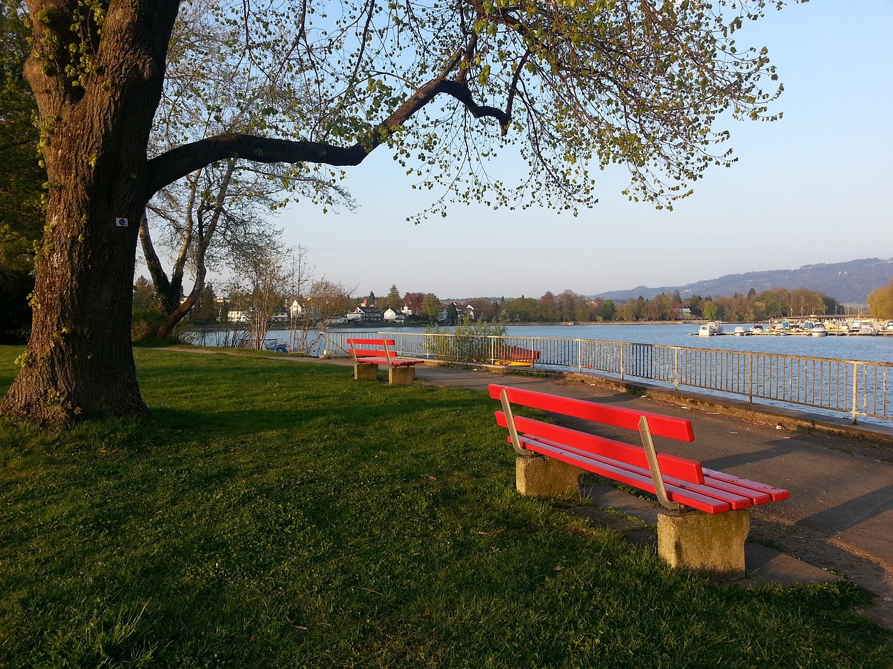 成为球队意 成为球队意