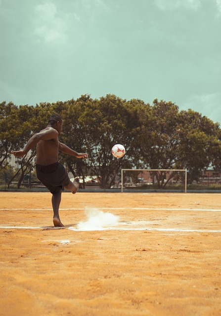 一个典型的 一个典型的