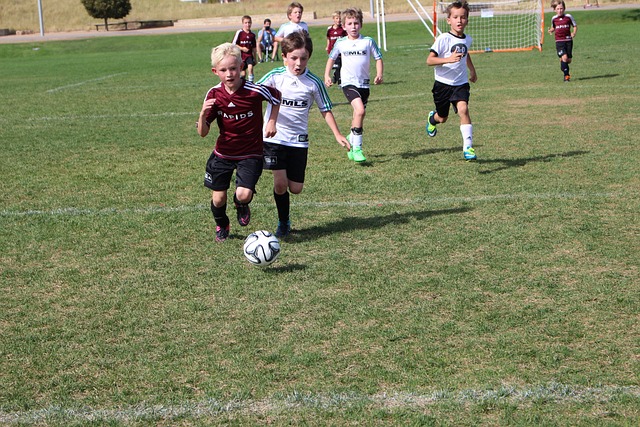 个重要环节 个重要环节