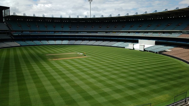 增添了不少 增添了不少