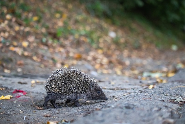 需要短暂承 需要短暂承