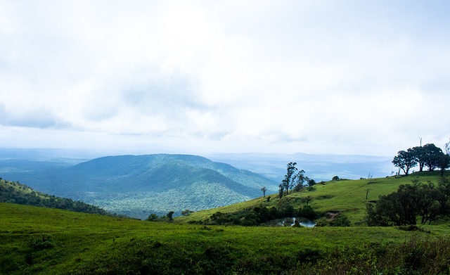 隐藏着更深 隐藏着更深