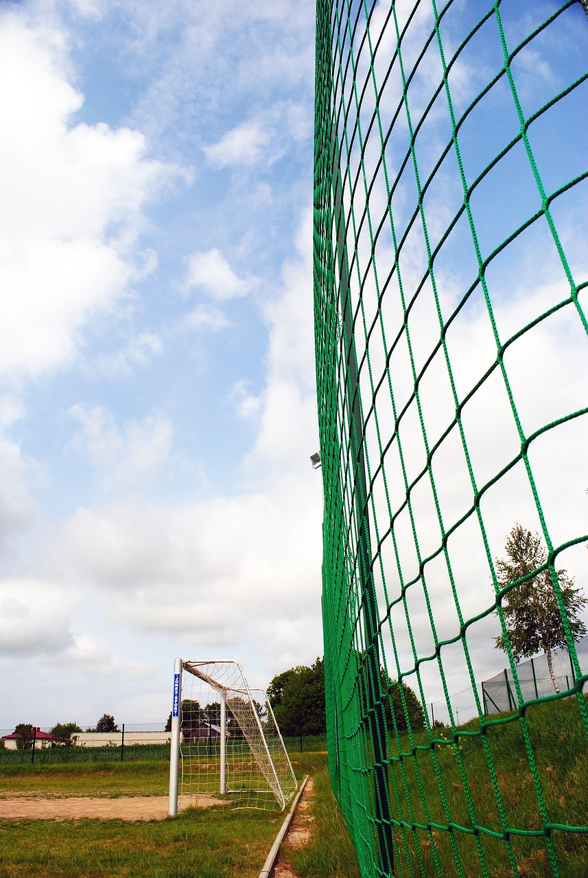 形成了鮮明 形成了鮮明